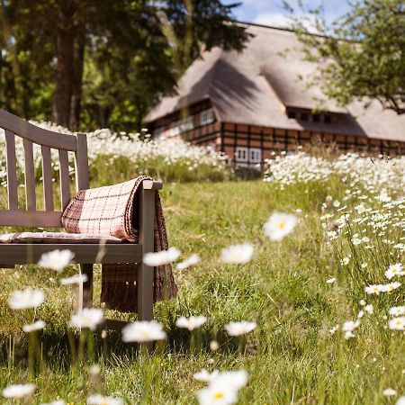 Park Am See X Nattika Ayurveda, Hotel Health Spirit Penzlin Exteriér fotografie