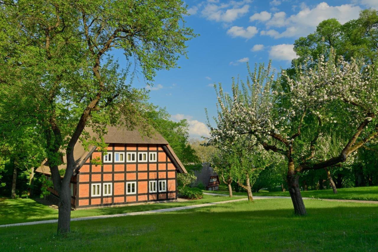 Park Am See X Nattika Ayurveda, Hotel Health Spirit Penzlin Exteriér fotografie